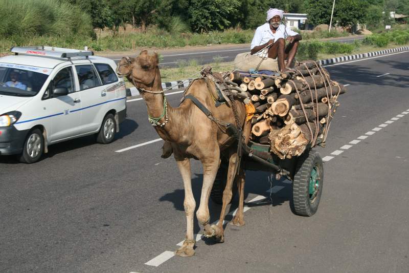 India & Nepal 2011 - 1343